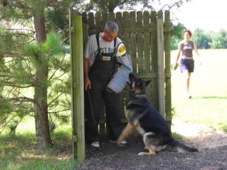 Drago vom Kriegershaus