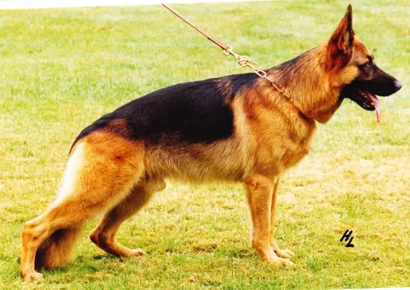 VA(ÖST) Grando vom Großen Sand