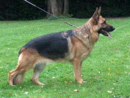 V Leni vom Ingenhoven Teich