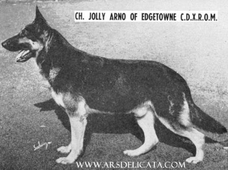 CH (US) Jolly Arno of Edgetowne