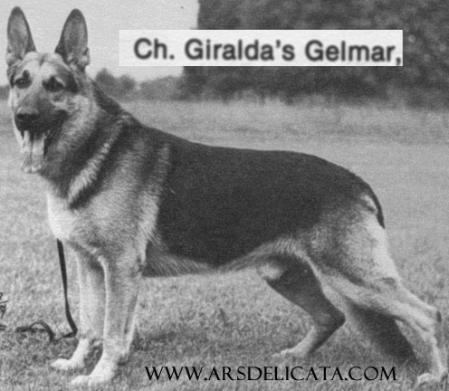 CH (US) Giralda's Gelmar