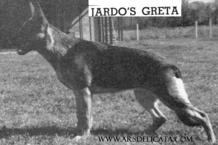Jardo's Greta