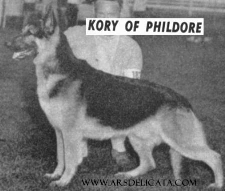 CH (US) Kory of Phildore