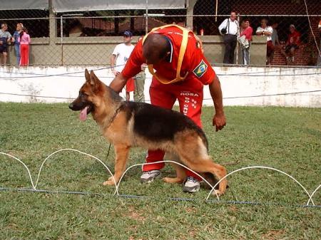 SG 6 COAPA Eros I do Panzza-Lara