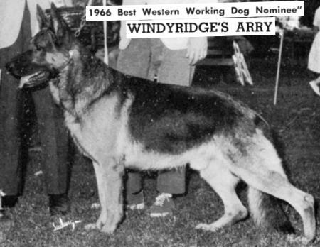 SEL CH (US) CH (CAN) Windyridge's Arry
