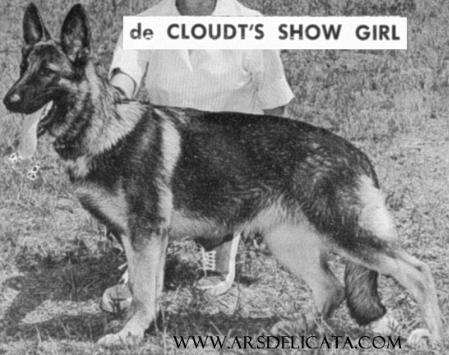 CH (US) De Cloudt's Show Girl