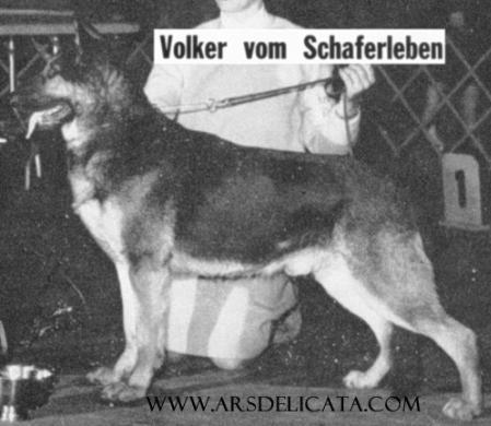 CH (US) Volker v Schaferleben