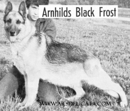 Arnhilds Black Frost
