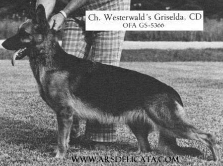 CH (US) Westerwald's Griselda