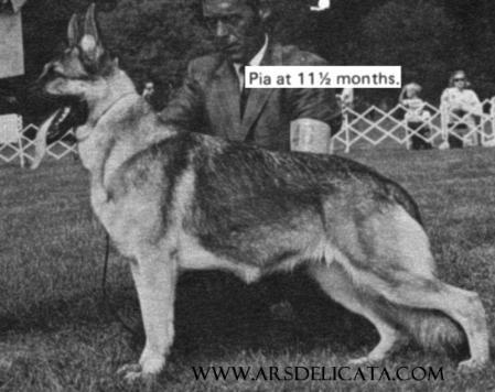 Waldesruh's Pia of Shiloh Gardens