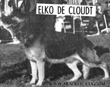 Elko De Cloudt