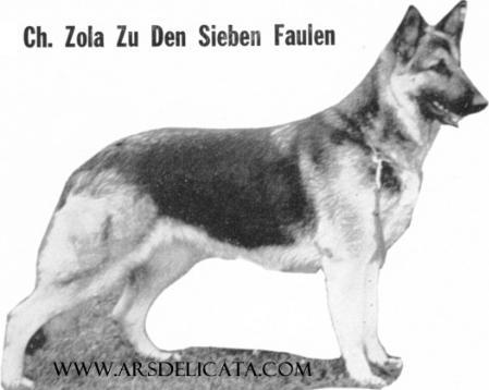 CH Zola zd Sieben-Faulen