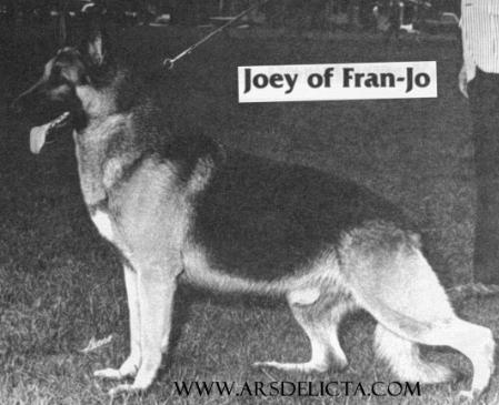 Joey of Fran-Jo