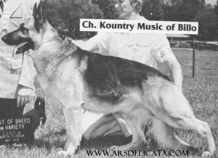 CH (US) Kountry Music of Billo