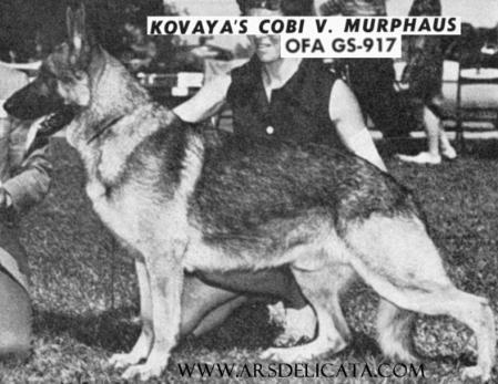 CH (US) Kovaya's Cobi v Murphaus