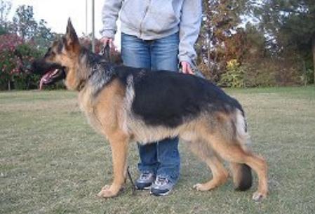 SG3 Danno von Jer-Haus