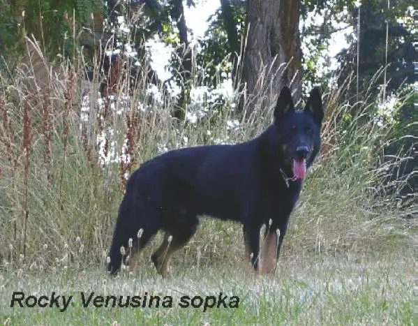 SG Rocky Venusina sopka