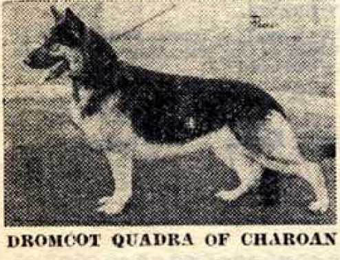Dromcot Quadra of Charoan