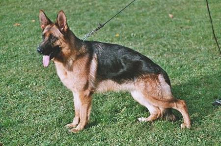 Varina vom St.-Michaels-Berg