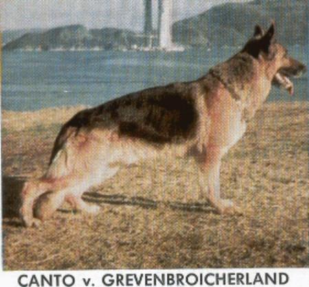 V1 Canto vom Grevenbroicher Land