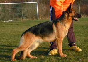 VA8 Oduscha vom Team Fiemereck