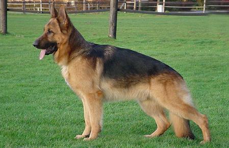 V Atlas von Thurmont