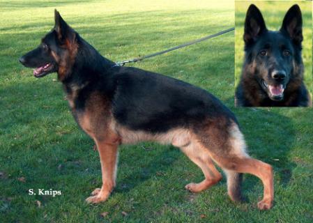 V Torge vom Bergischen Tal