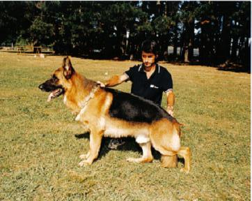 Simba Von Furstemberg