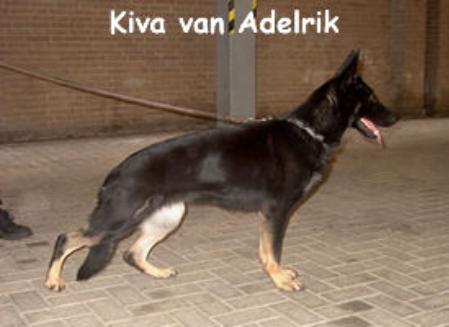 Kiva van Adelrik