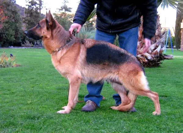 Evita vom St.-Michaels-Berg