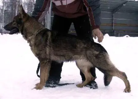 G Tami vom Gleisdreieck