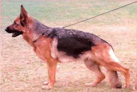 V Xalome von der Wienerau