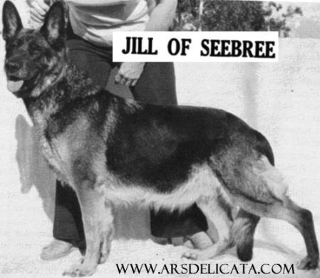 Jill of Seebree