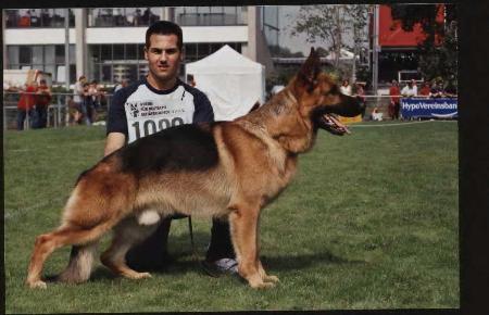 V Iassko De Tarraco Land