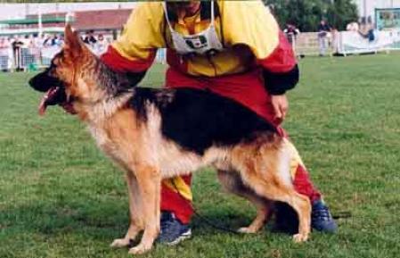 SG1 3XCAC HFGY Bakai-Bátor Quandó