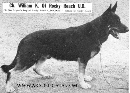 CH (US) William K of Rocky Reach