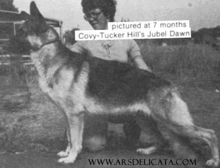 Covy-Tucker Hill's Jubel Dawn