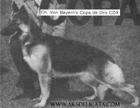 PC VICX CH (US) Von Bayern's Copa de Oro