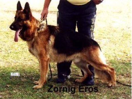 VA UNGARN 2003 MNJK Zornig Eros