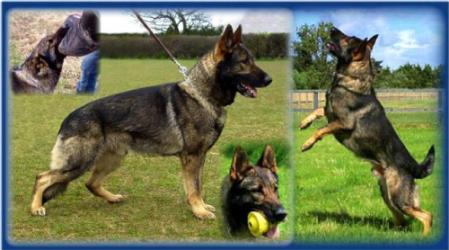 SG. Sergio vom Salztalblick