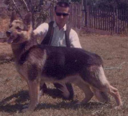 Rasso vom Gurkenland