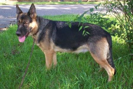 Anne Marlene Vom Merlot Schatz