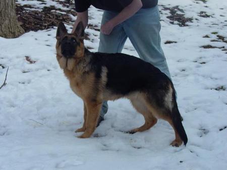 SG1 Wynn Dei Precision