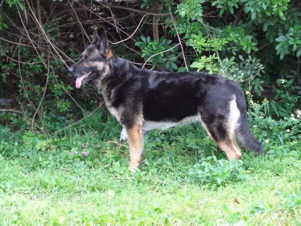 Anett von der Haus Orbe