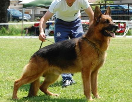 V Uri della Grande Valle