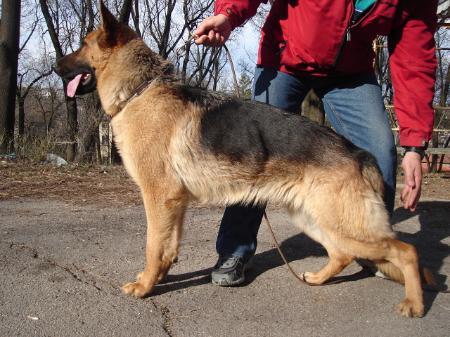 Karolin vom Terminal