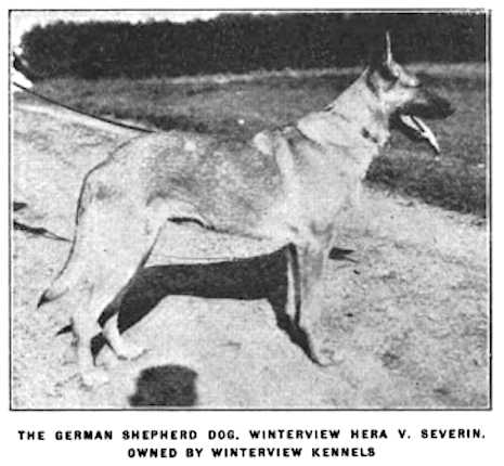 Hera v Severin