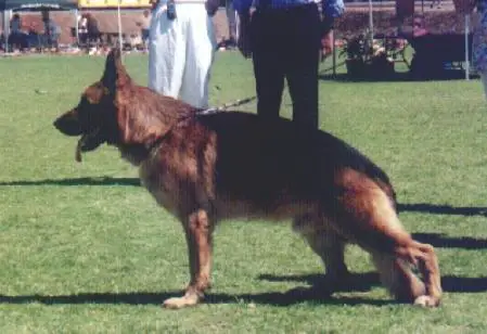 VA(SA) Carly von der Kahler Heide