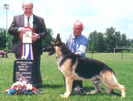 '96 CANMV CH Tamar's Ind Coope