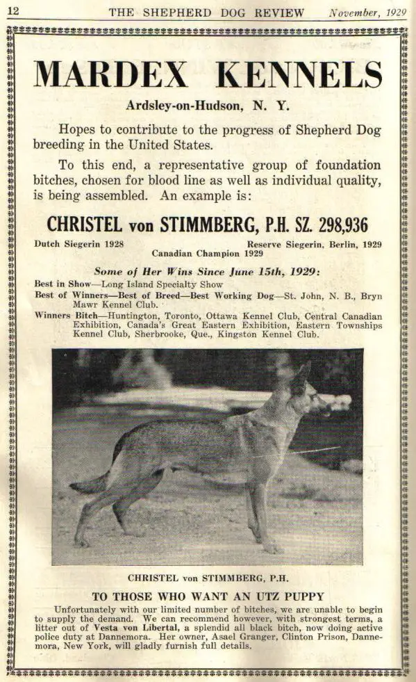 1930 GVX CH (US) Christel vom Stimmberg